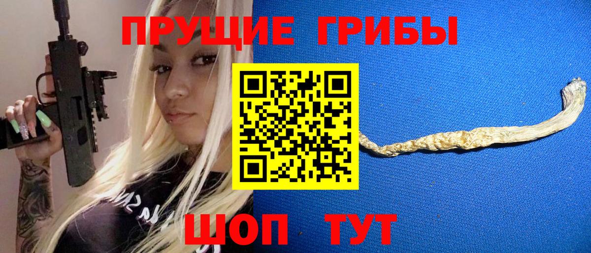 Галлюциногенные грибы Psilocybe Владимир