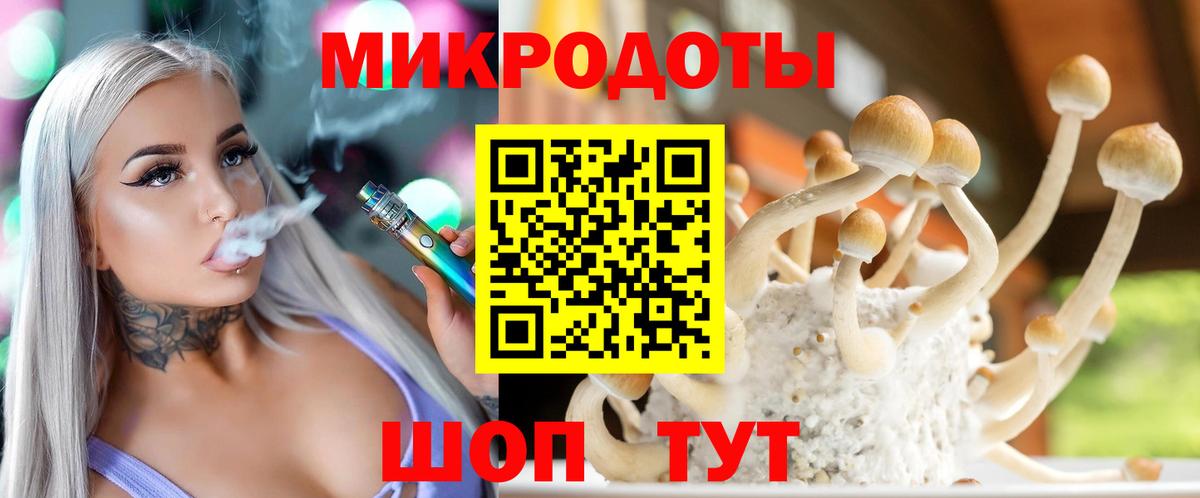 Владимир  Псилоцибиновые грибы прущие грибы  Вход с VPN 